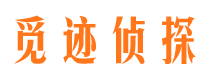 龙岗市婚姻出轨调查